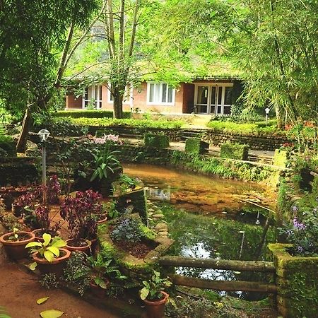 Falling Waters Муннар Екстер'єр фото